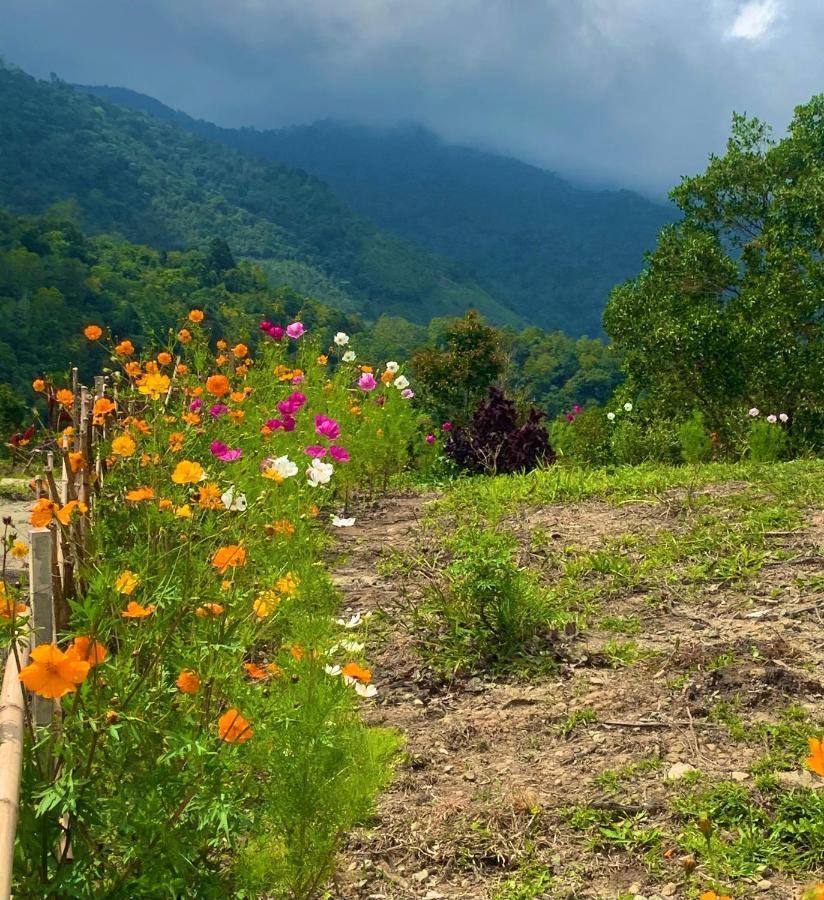 Hounon White Chimney Cottage Ranau Dış mekan fotoğraf
